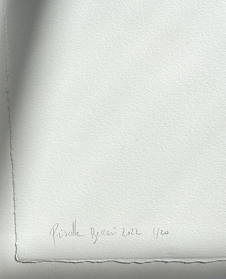 Sans titre,  Beccari